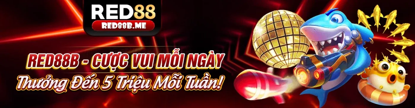 Hình ảnh minh họa việc thu thập thông tin người dùng tại bet188 web
